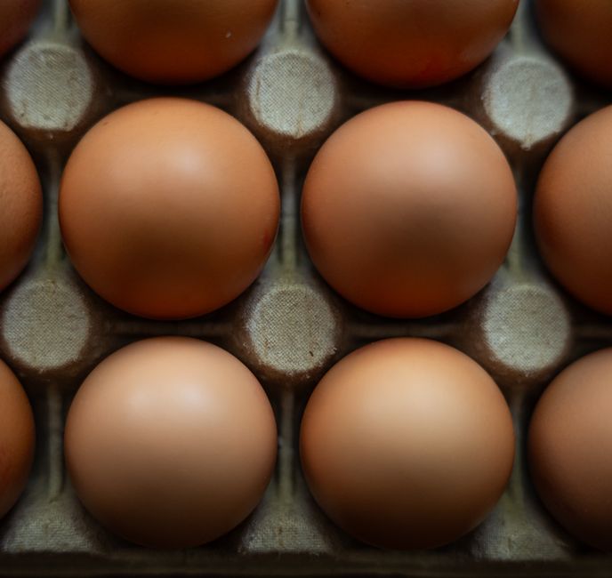 Muscle Building Proteins Every Senior Should Eat