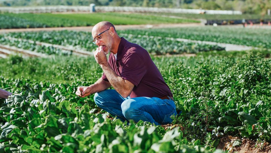 How to eat for bone health after 60