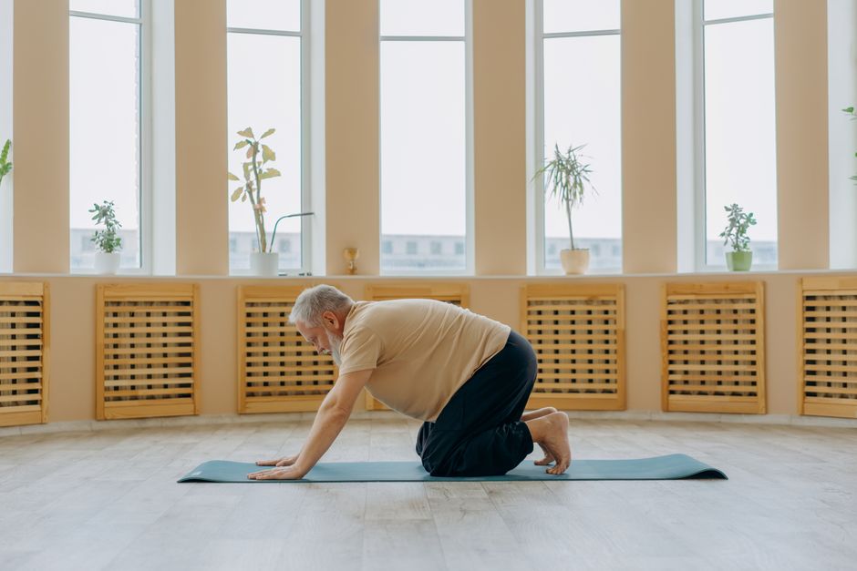Safe Core Exercises For Seniors With Back Pain